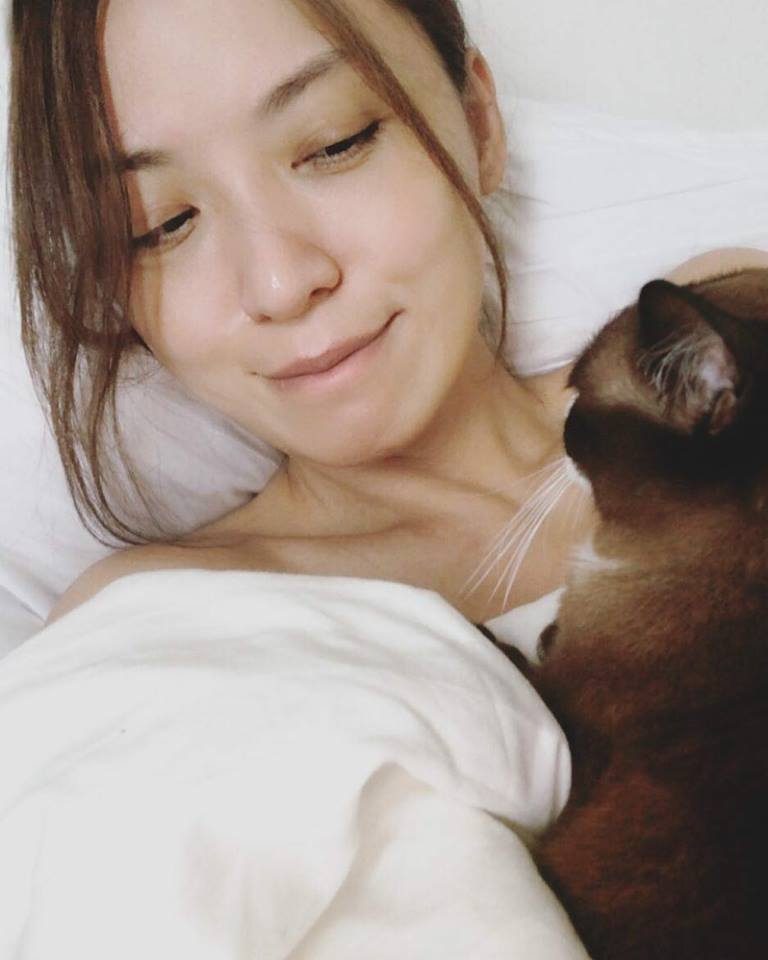진위 HD 이미지/사진 갤러리 다운로드 #1383826