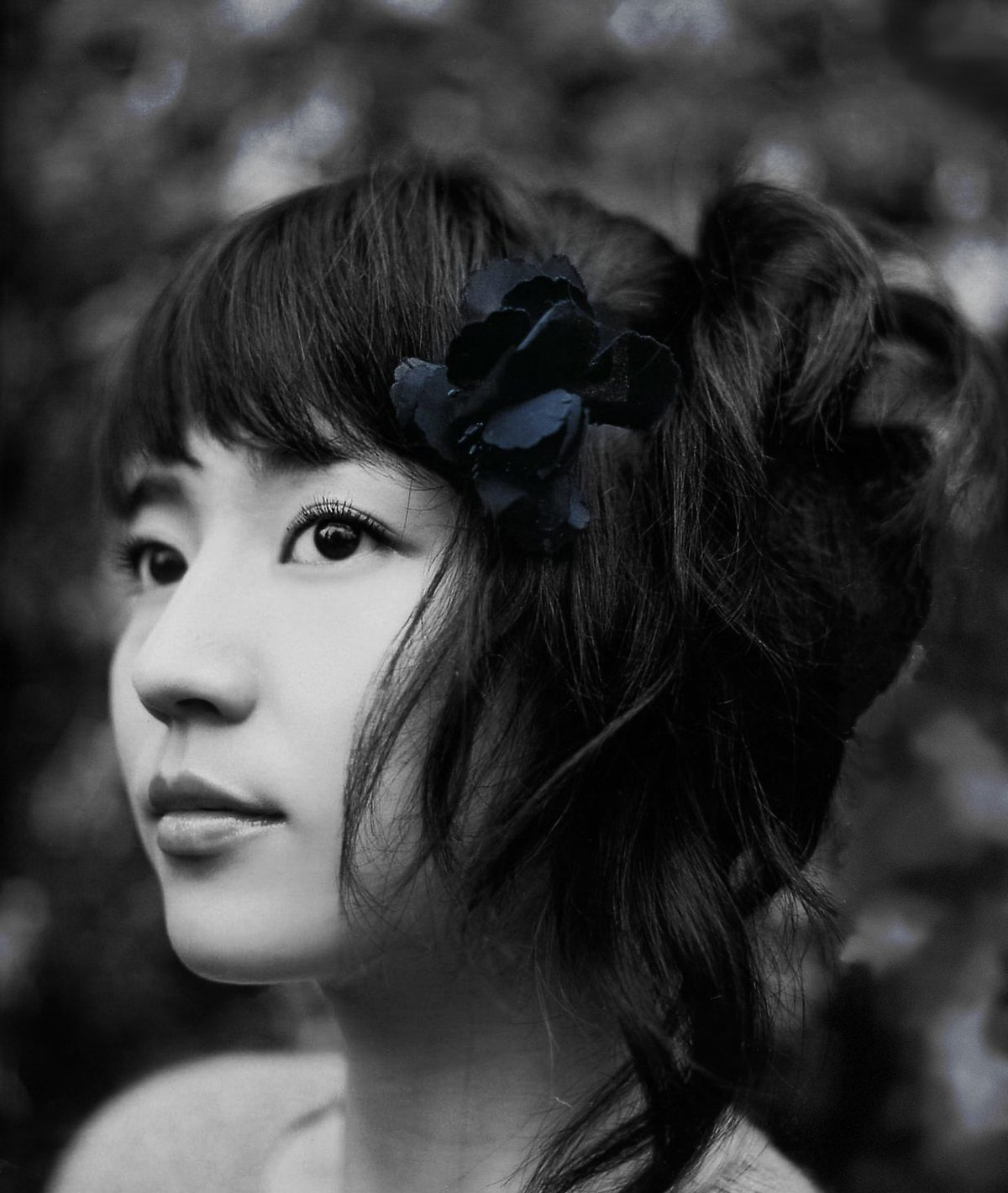 Masami Nagasawa HD Images/Photo Gallery Download #580122