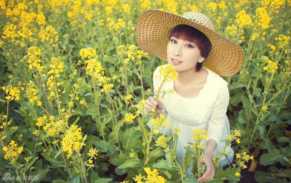 Su Ma HD Images/Photo Gallery Download #6706262