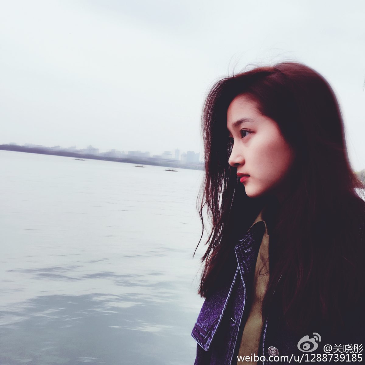 Xiaotong Guan HD Images/Photo Gallery Download #7097215