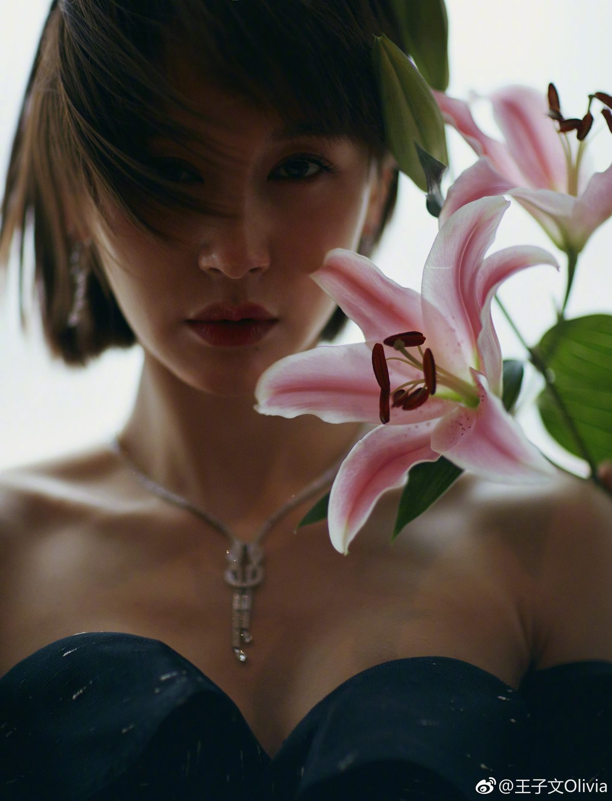 Ziwen Wang HD Images/Photo Gallery Download #7092977