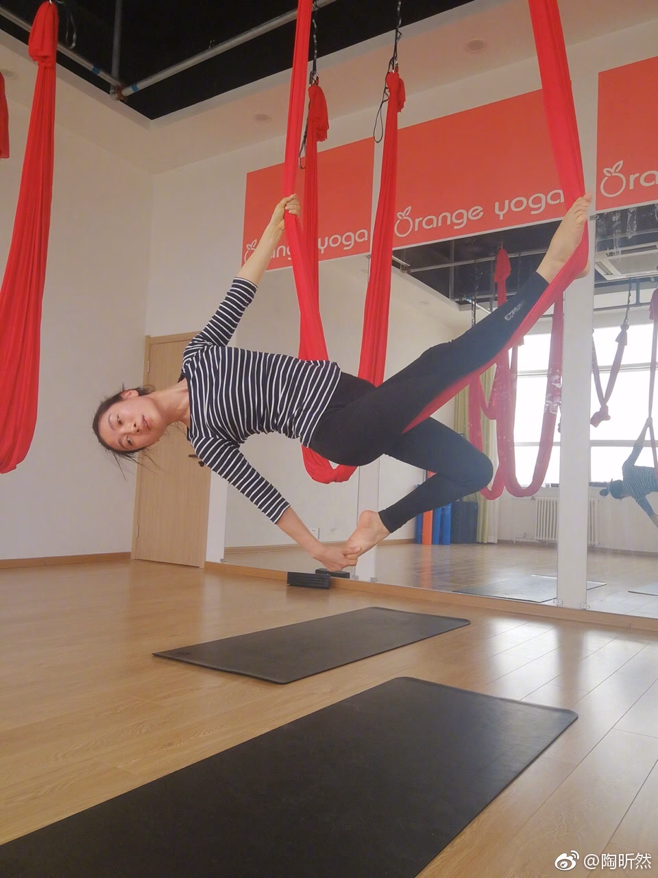 Xin-ran Tao HD Images/Photo Gallery Download #3411696