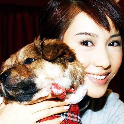 Gigi Lai HD Images/Photo Gallery Download #755233