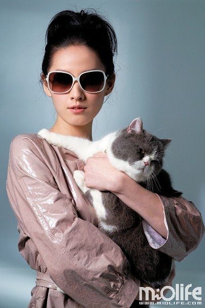 Kai-Syuan Tzeng HD Images/Photo Gallery Download #1932046