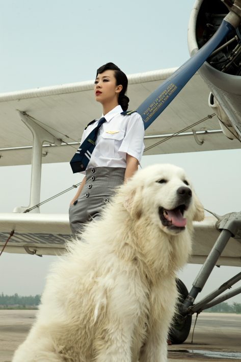 Pu Miao HD Images/Photo Gallery Download #921181