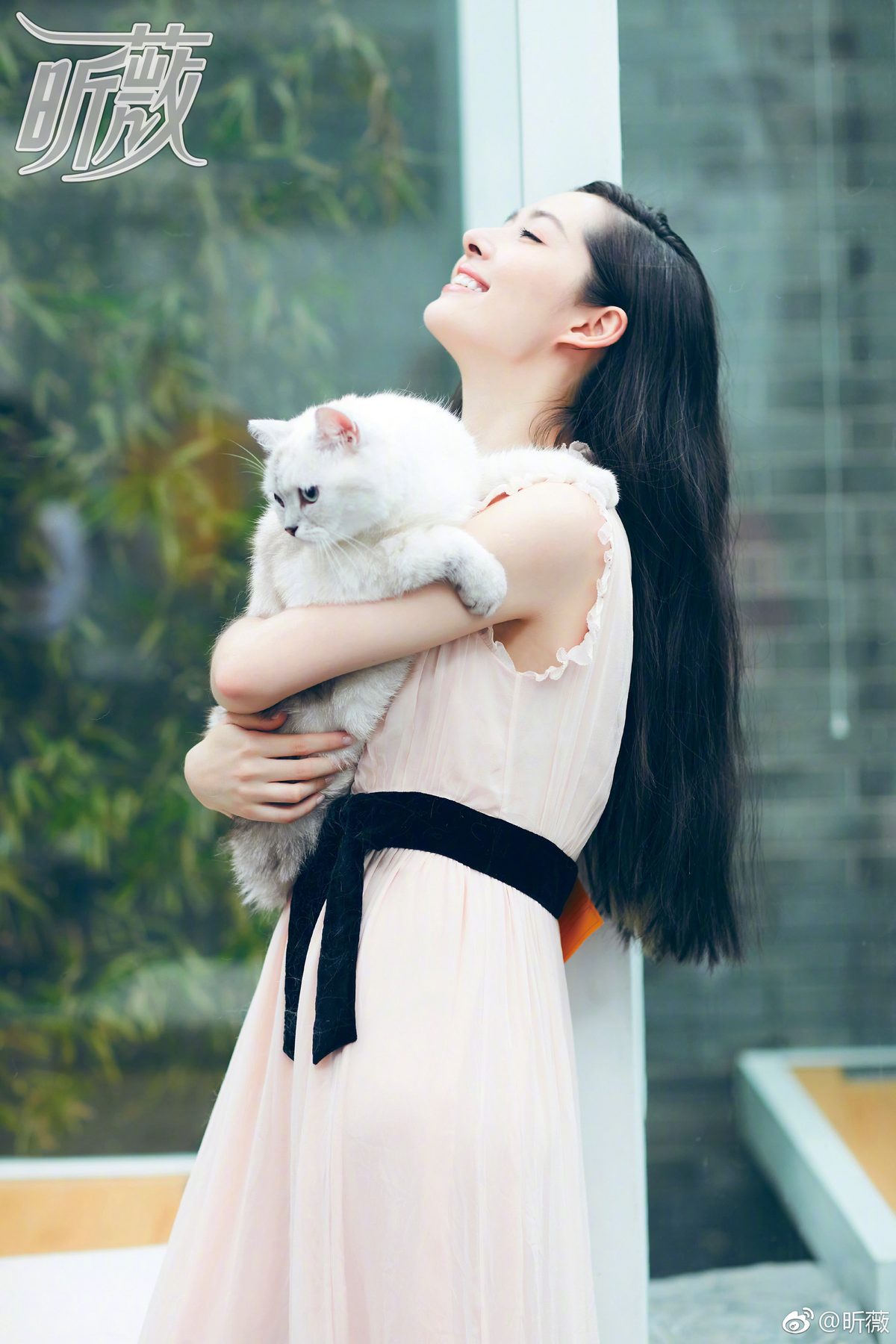 Bea Hayden Kuo HD Images/Photo Gallery Download #6729694
