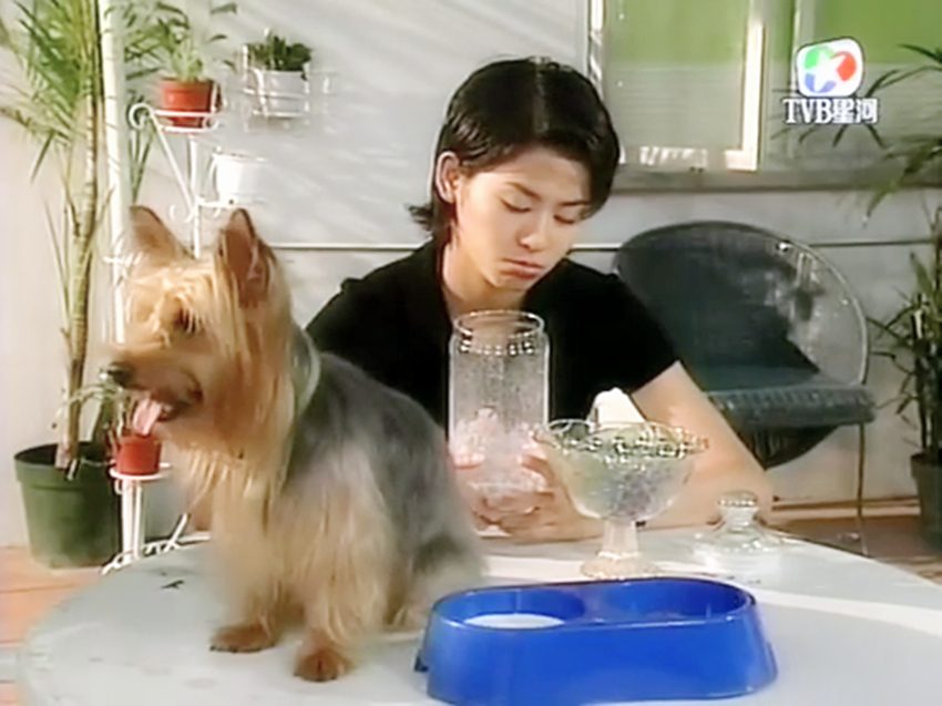 Jessica Hester Hsuan HD Images/Photo Gallery Download #790795