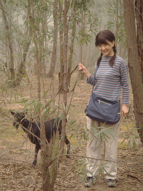 Miao He HD Images/Photo Gallery Download #1805669