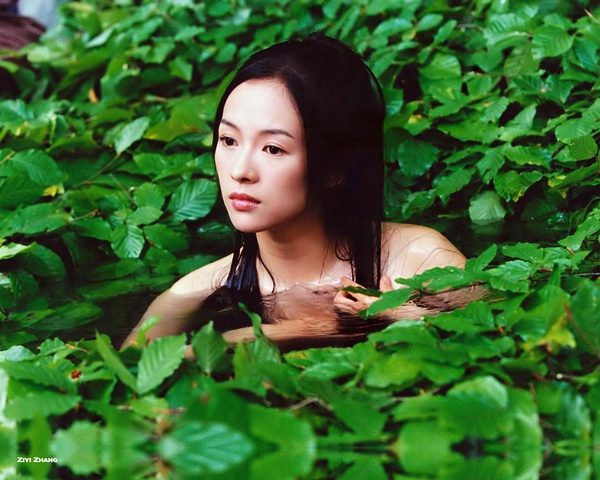 Ziyi Zhang HD Images/Photo Gallery Download #1038845