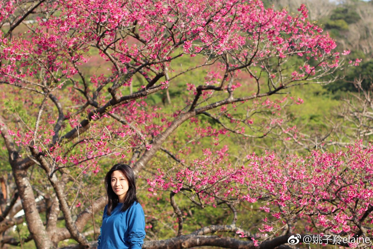 Elaine Yiu HD Images/Photo Gallery Download #1378941