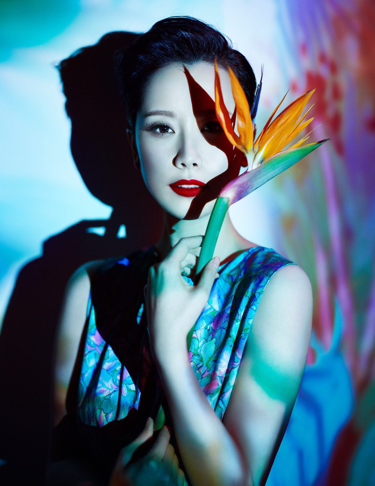 Hai-Qing HD Images/Photo Gallery Download #1883817