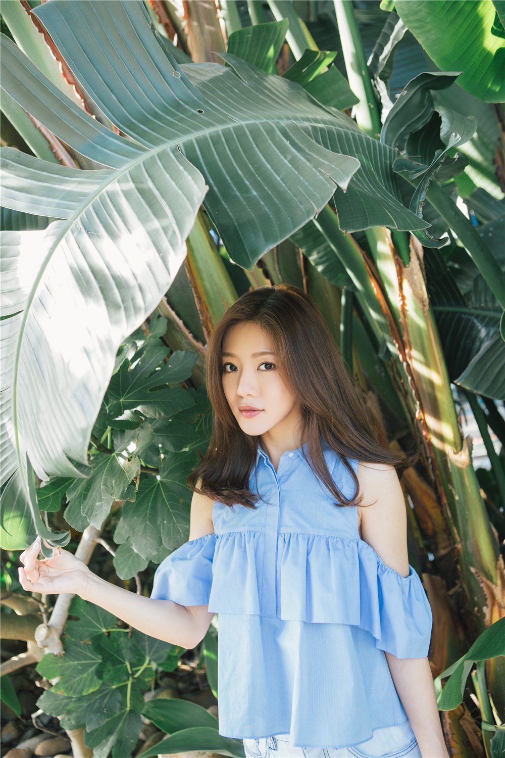 등가가 HD 이미지/사진 갤러리 다운로드 #1939504