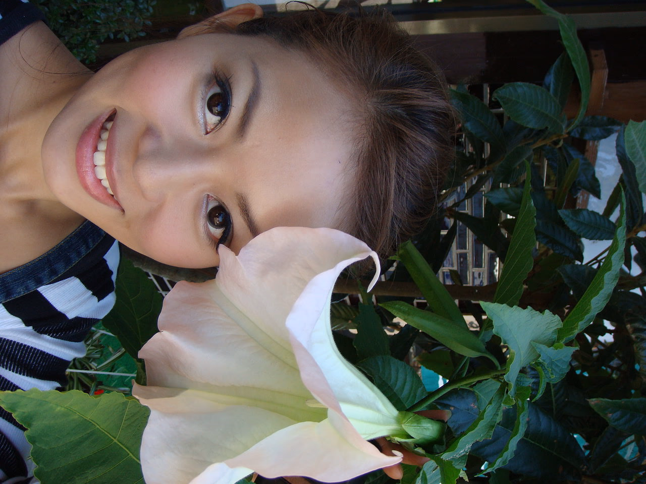 刘香慈 高清写真/照片下载 #3323454