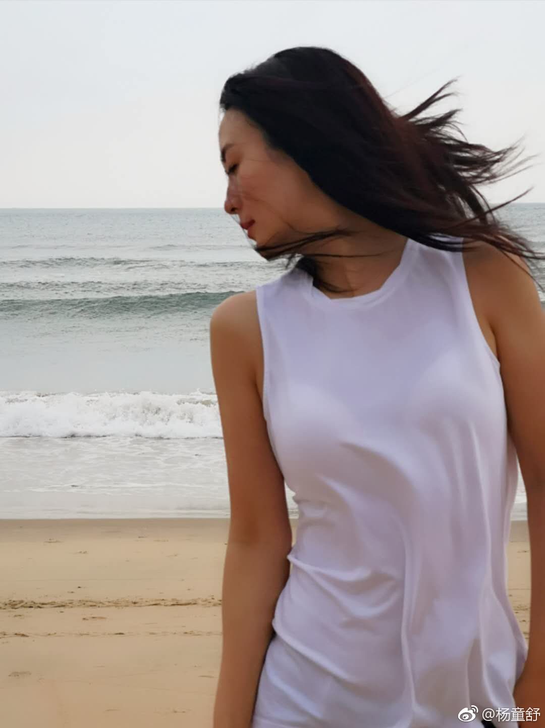 Tongshu Yang HD Images/Photo Gallery Download #2076472