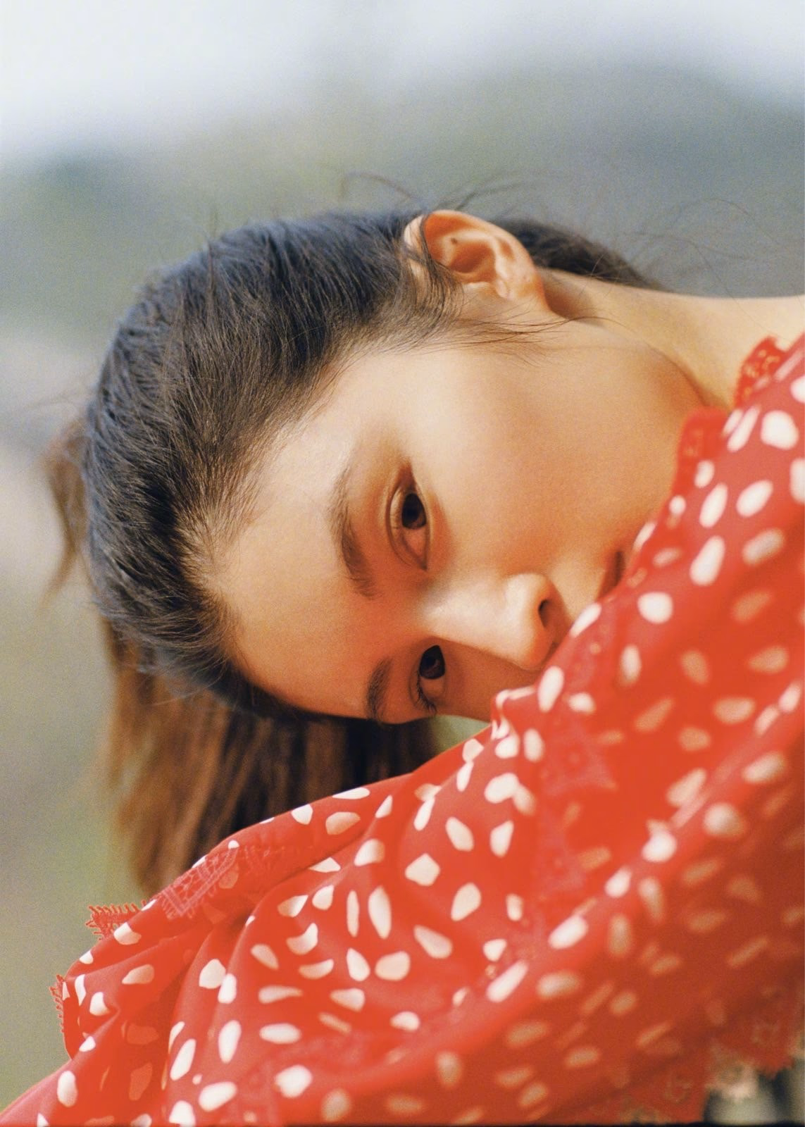 何穗 高清写真/照片下载 #3384847