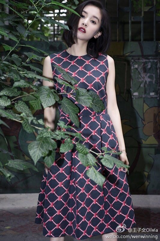 Ziwen Wang HD Images/Photo Gallery Download #6986315