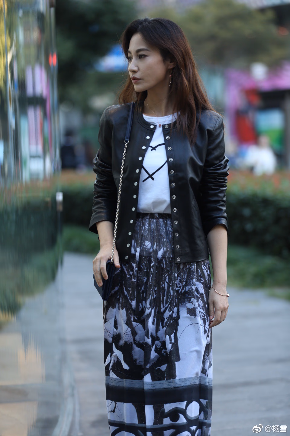 杨雪 高清写真/照片下载 #3489702