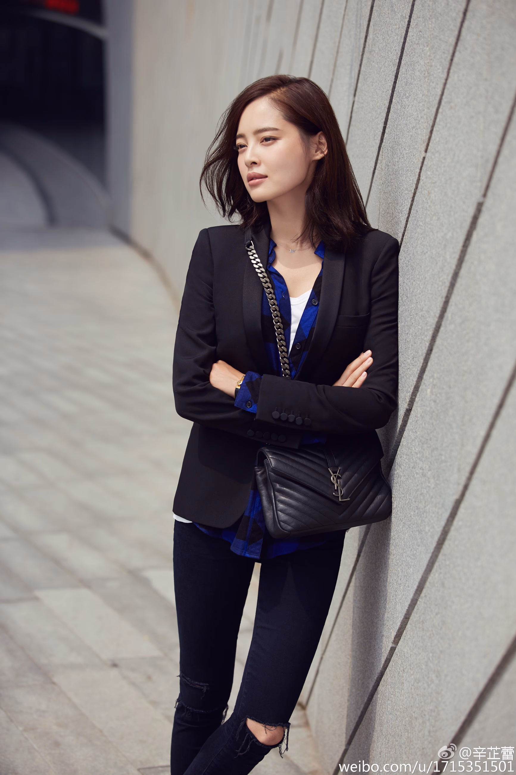 辛芷蕾 高清写真/照片下载 #3468409