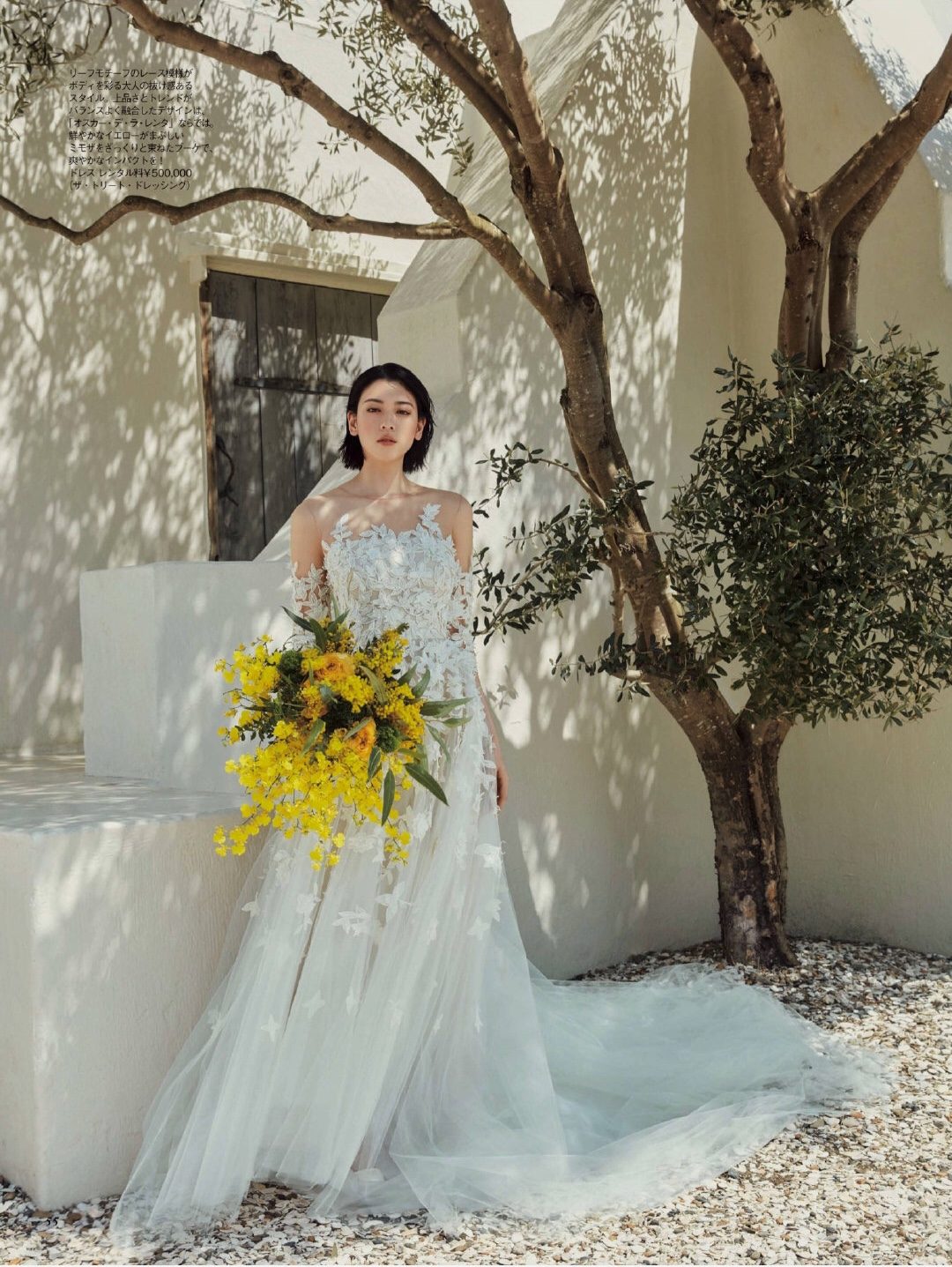 三吉彩花 高清写真/照片下载 #5097047