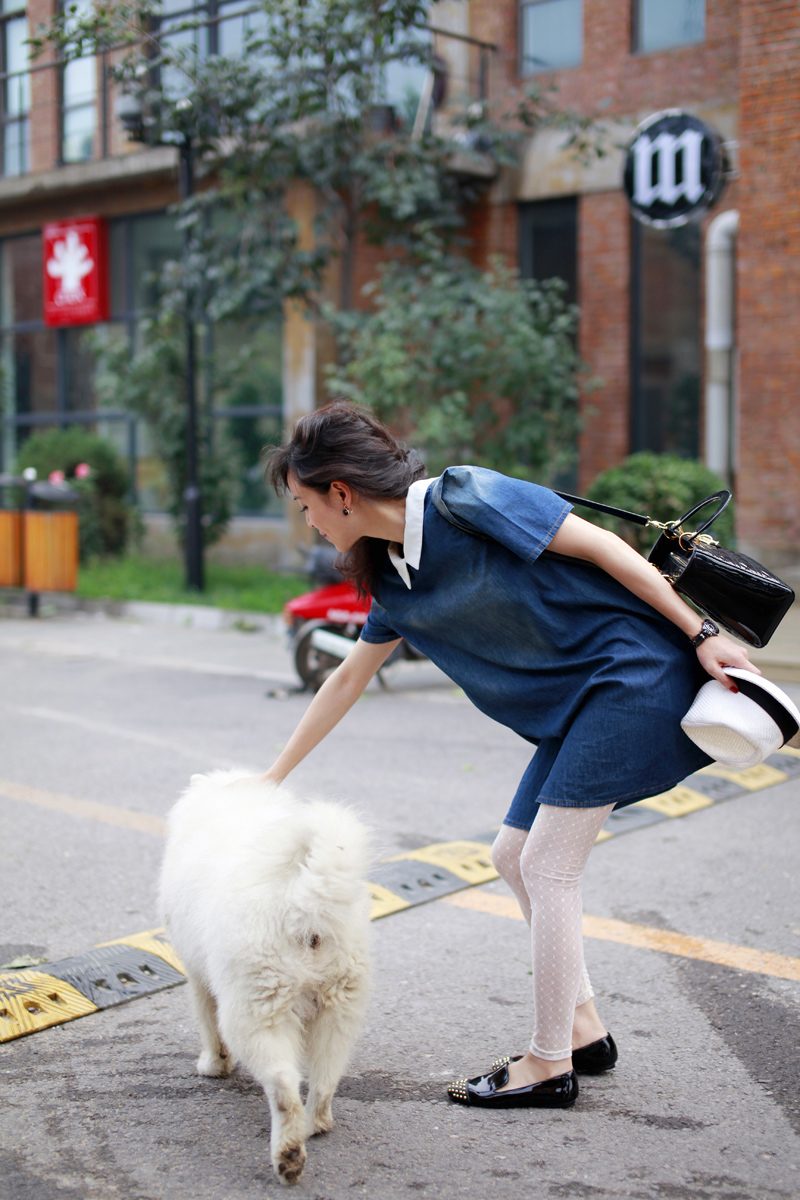 Jingchu Zhang HD Images/Photo Gallery Download #7174527