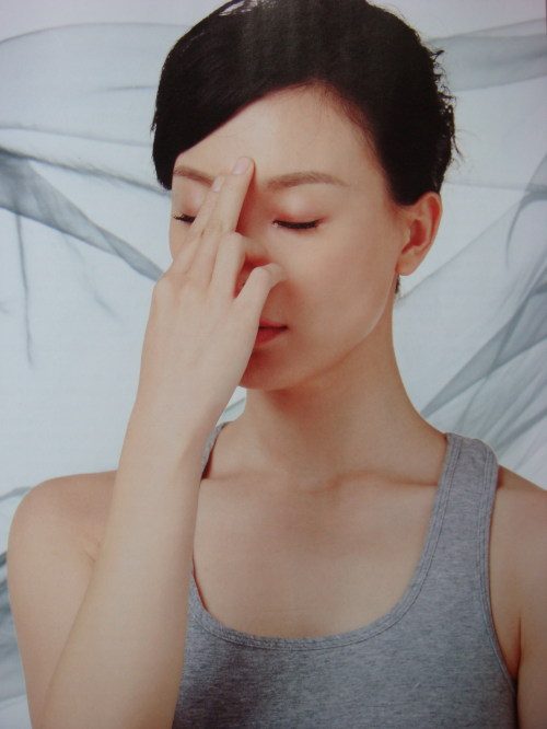 Shu Chen HD Images/Photo Gallery Download #1942811