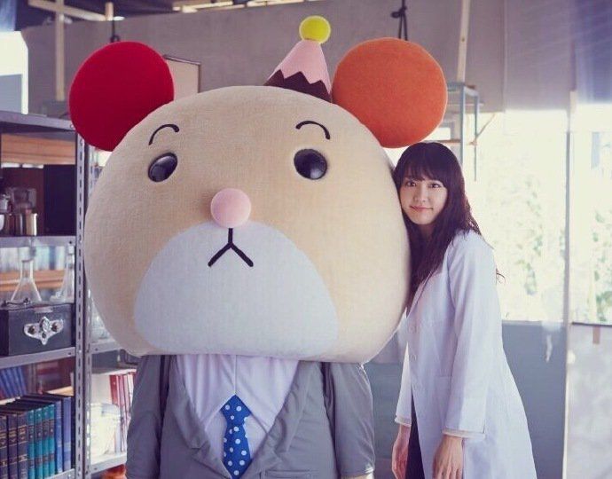 新垣结衣 高清写真/照片下载 #846719