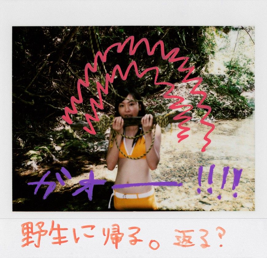 新垣结衣 高清写真/照片下载 #1658757