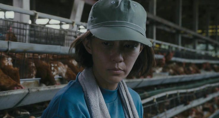 Yoshino Kimura HD Images/Photo Gallery Download #8391203