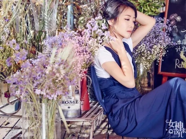 진자함 HD 이미지/사진 갤러리 다운로드 #1935503