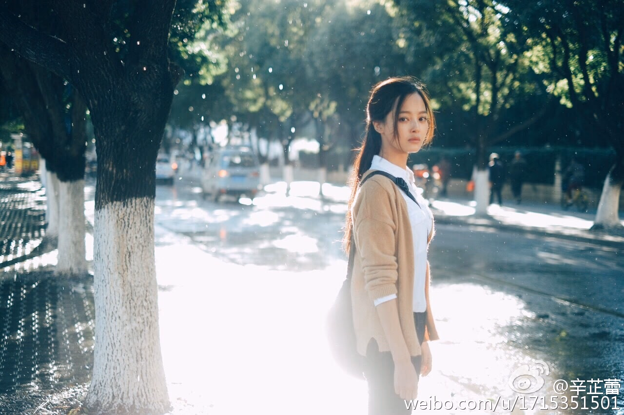 辛芷蕾 高清写真/照片下载 #3510940