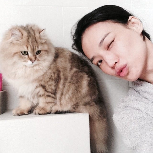 Shu Qi HD Images/Photo Gallery Download #6722323