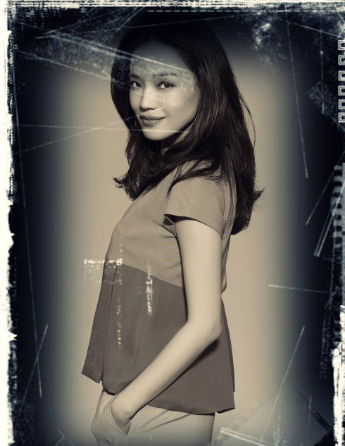 Shu Qi HD Images/Photo Gallery Download #6722615
