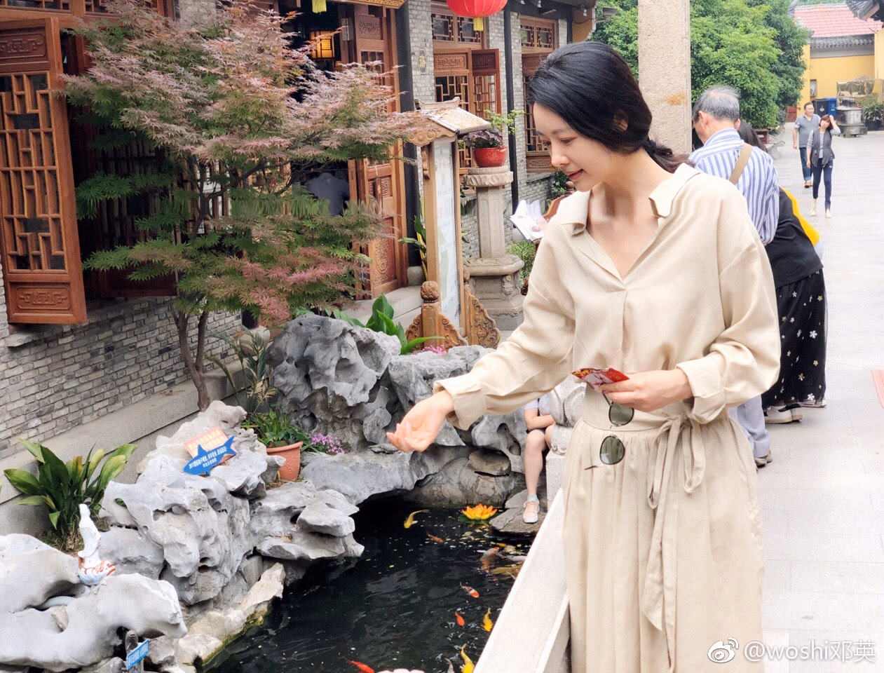 邓英 高清写真/照片下载 #3249868