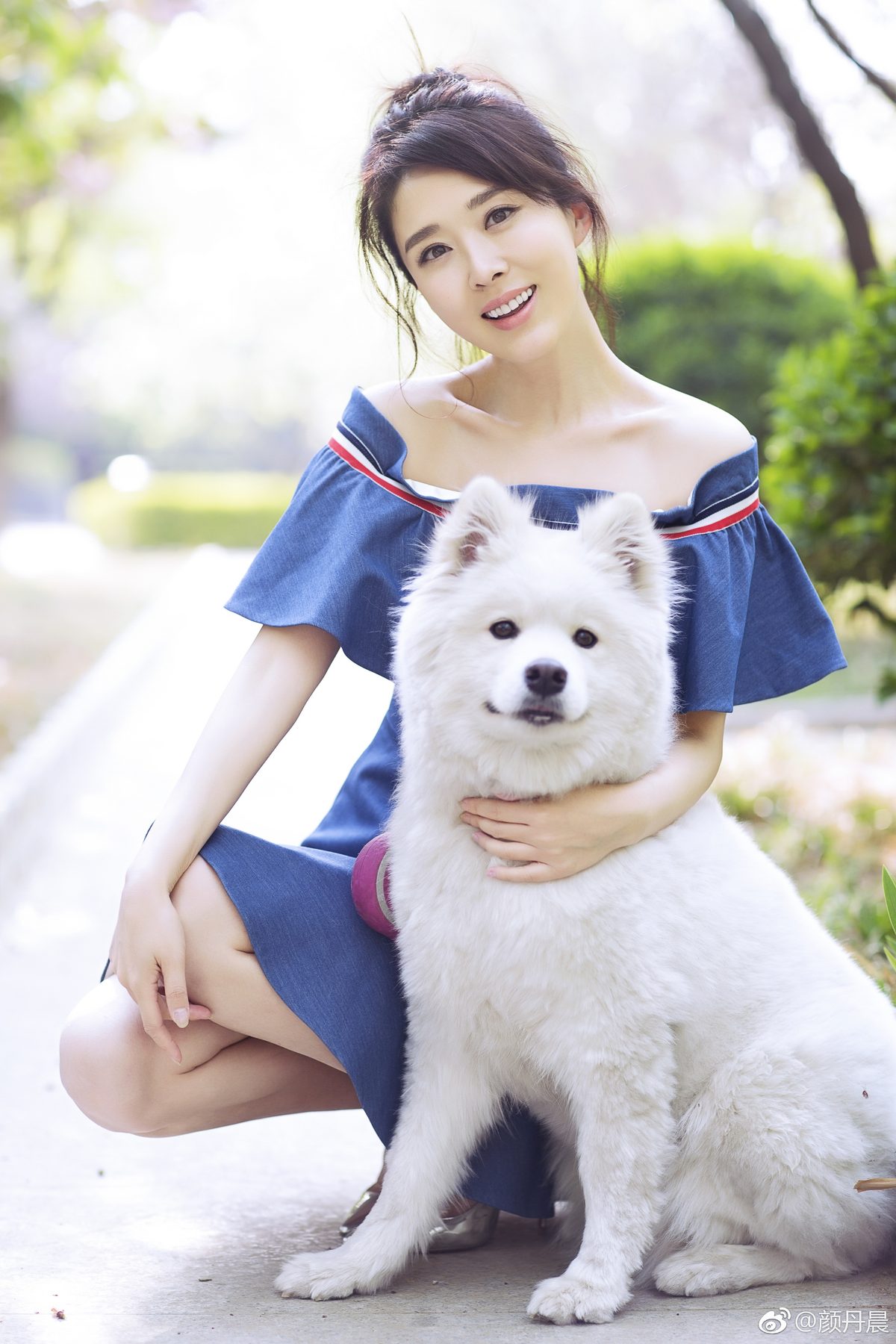 Danchen Yan HD Images/Photo Gallery Download #928379