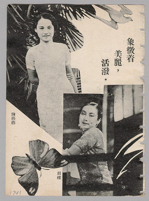 Butterfly Wu HD Images/Photo Gallery Download #825284