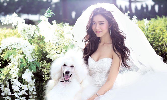 Janice Man HD Images/Photo Gallery Download #6990348