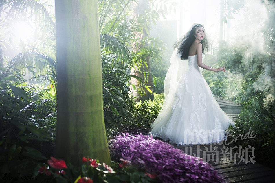 Lan Qin HD Images/Photo Gallery Download #1889026