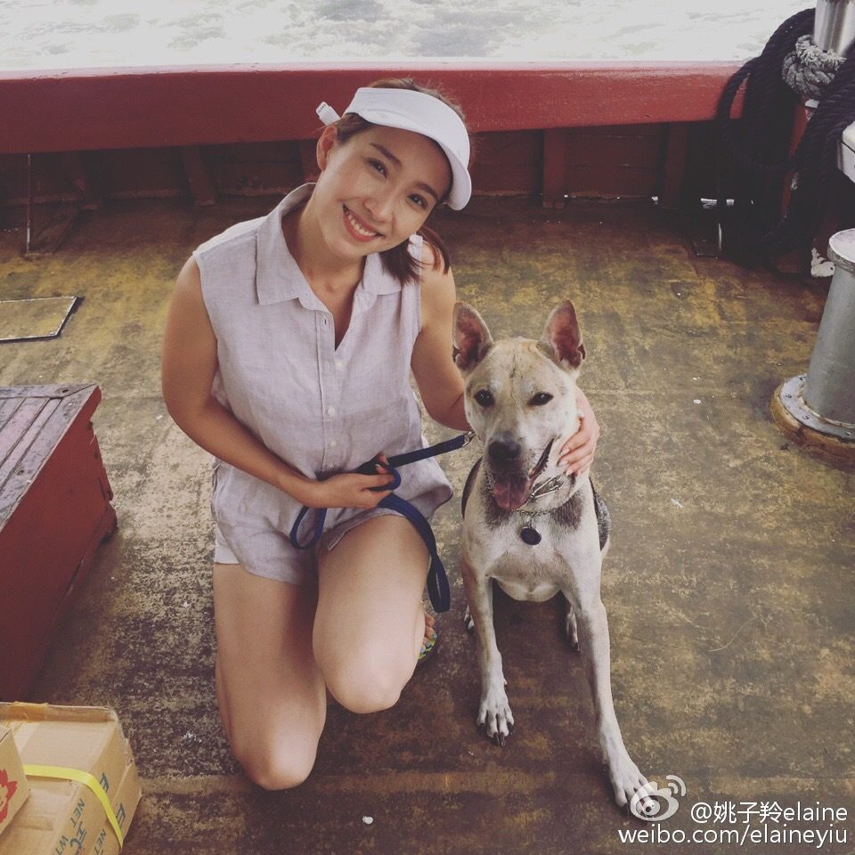 Elaine Yiu HD Images/Photo Gallery Download #1366306