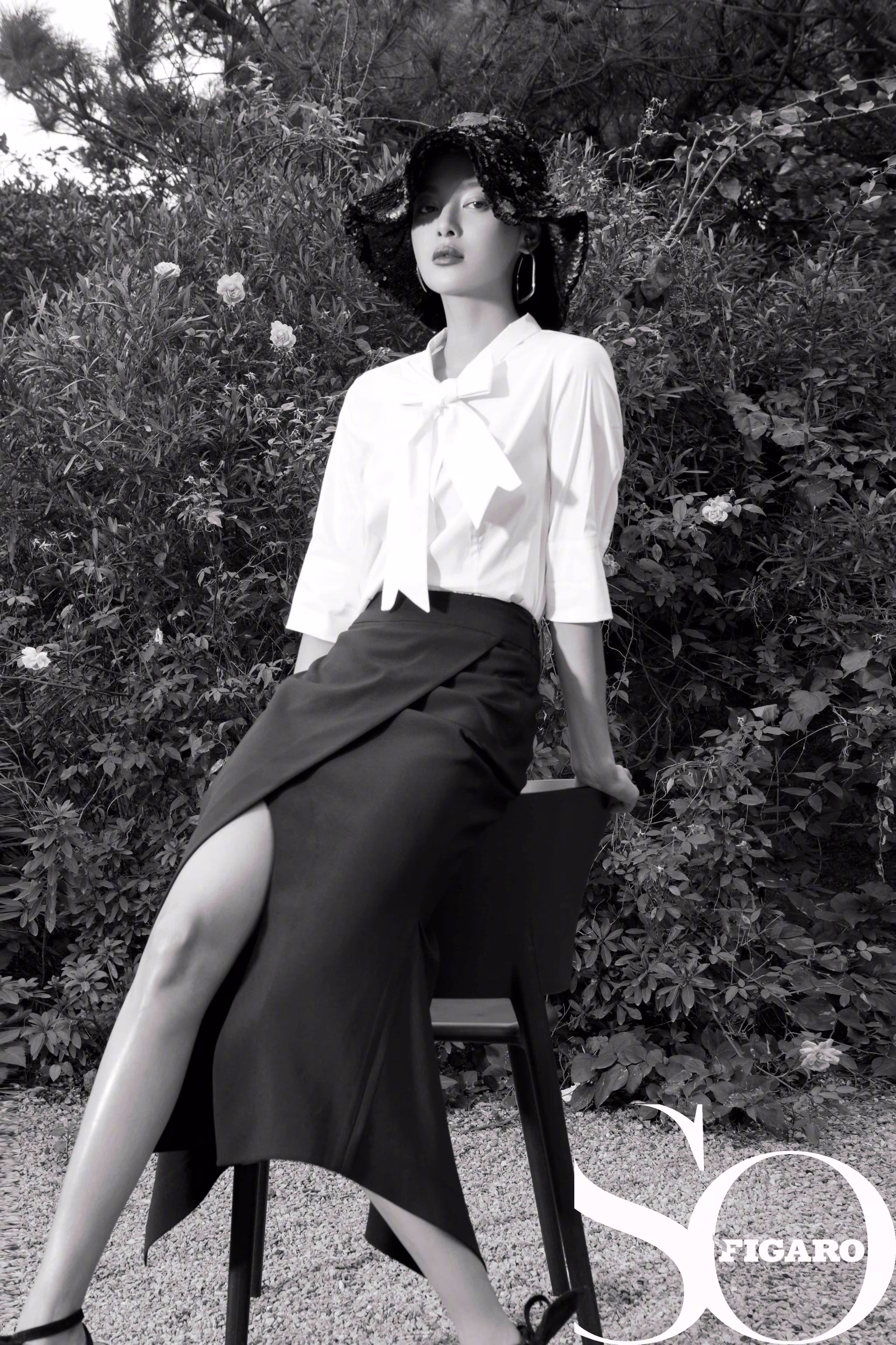 辛芷蕾 高清写真/照片下载 #3446619