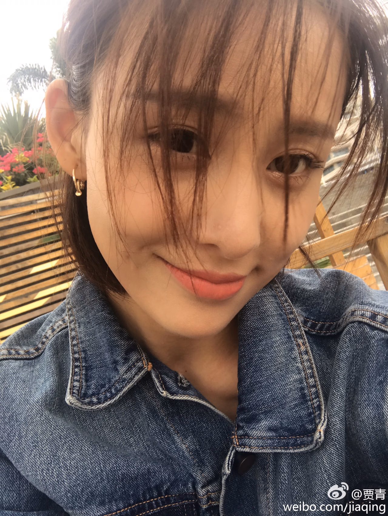 贾青 高清写真/照片下载 #3506055