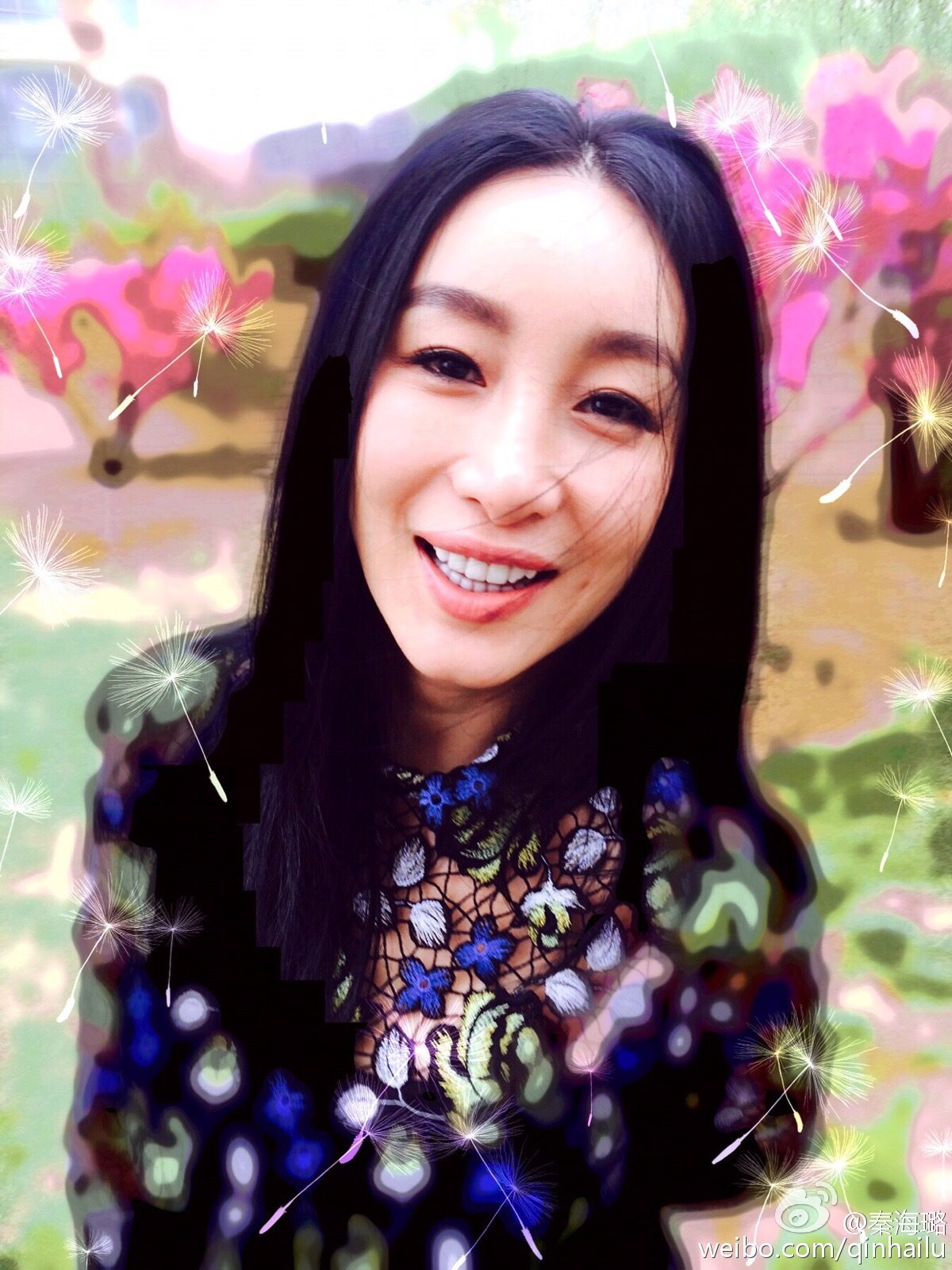 Hailu Qin HD Images/Photo Gallery Download #1929797