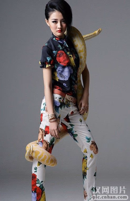 徐璐 高清写真/照片下载 #3417434