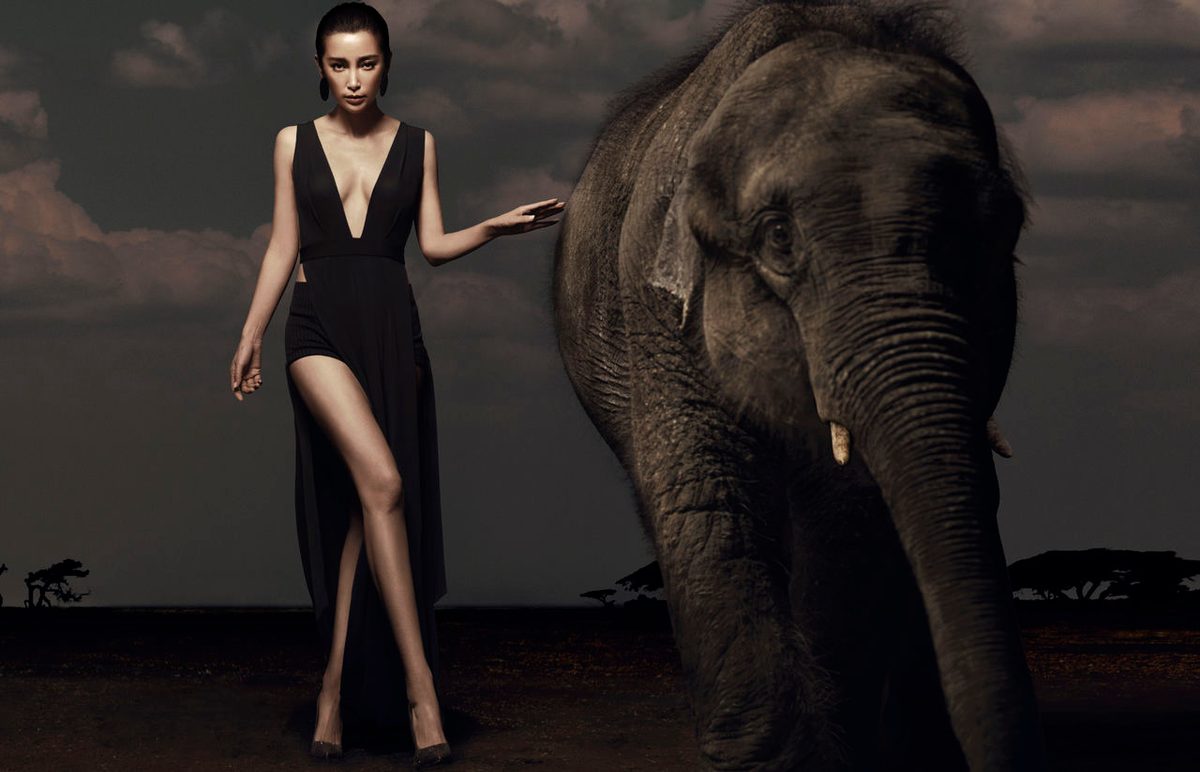Bingbing Li HD Images/Photo Gallery Download #1427494