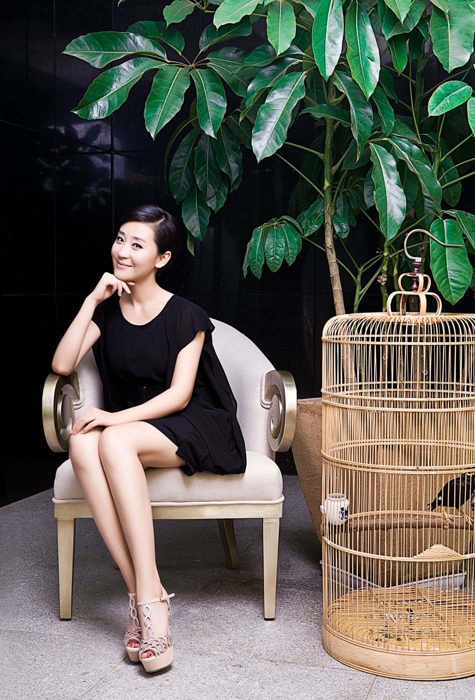 Pu Miao HD Images/Photo Gallery Download #1508483