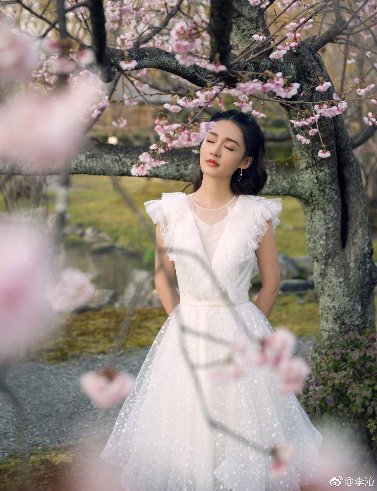 Qin Li HD Images/Photo Gallery Download #1734072