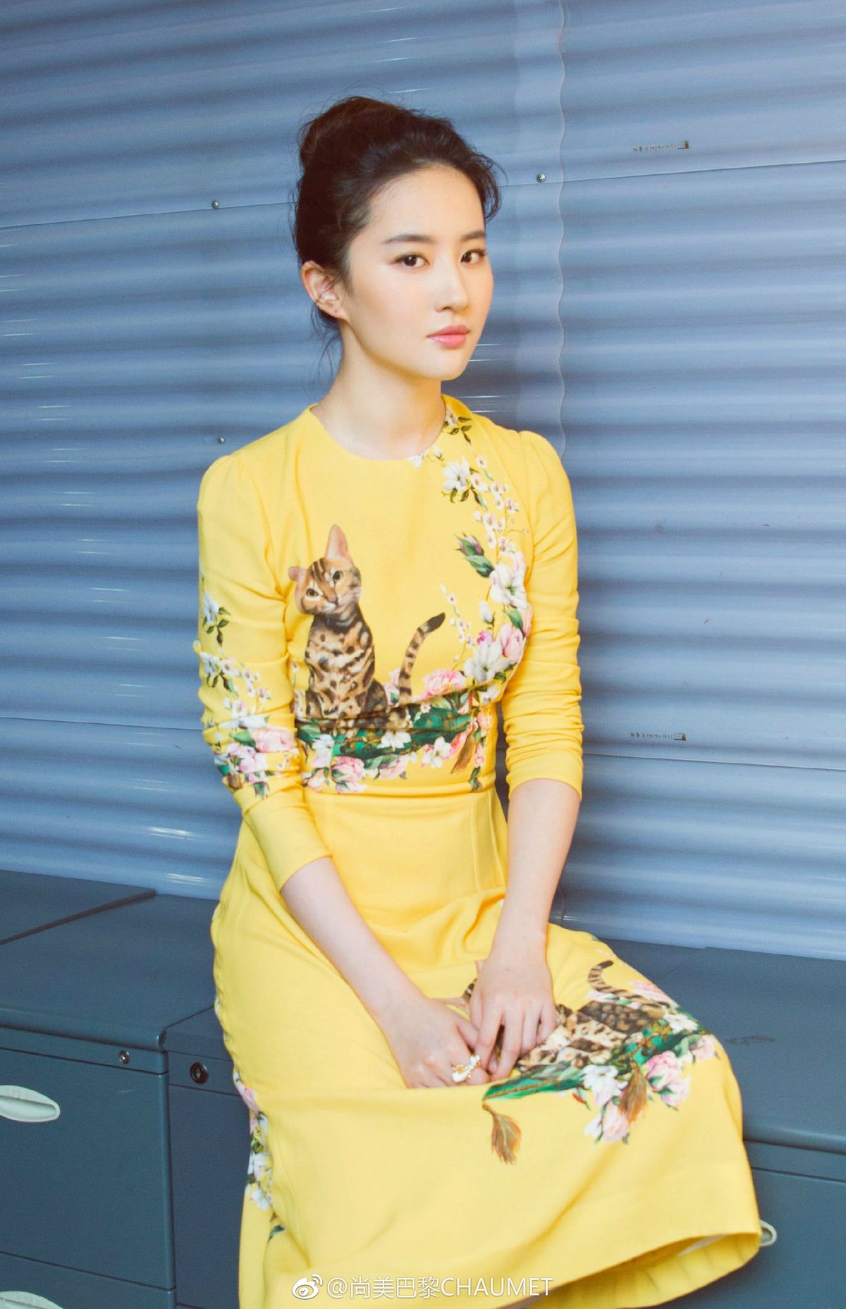 Liu Yifei HD Images/Photo Gallery Download #6707849