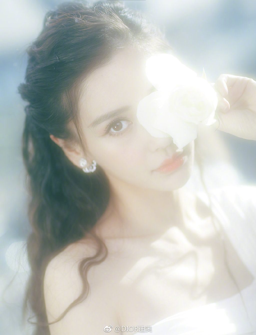 Angelababy HD Images/Photo Gallery Download #6649613