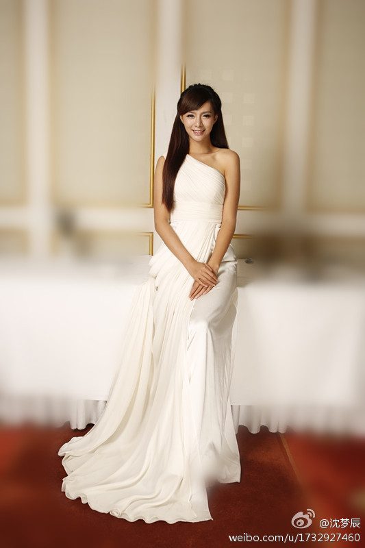 Mengchen Shen HD Images/Photo Gallery Download #6705300
