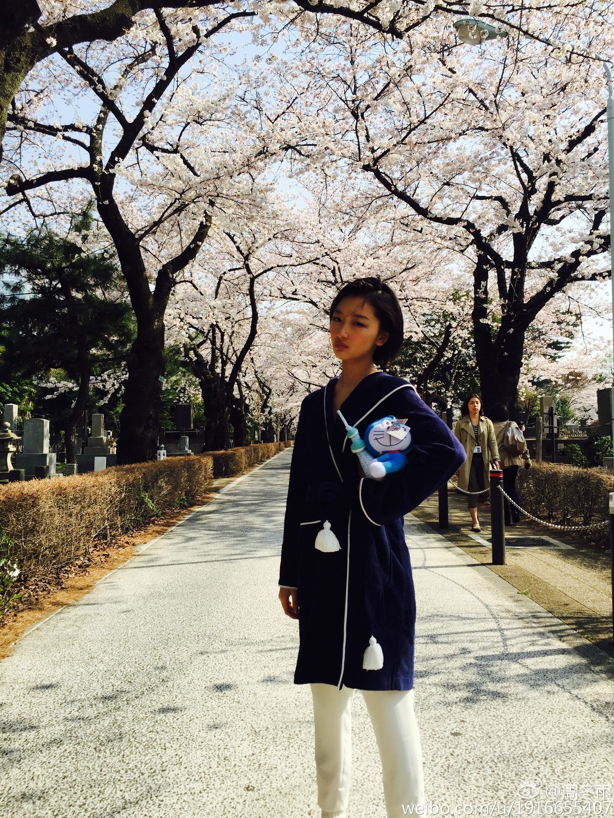 周冬雨 高清写真/照片下载 #1910848