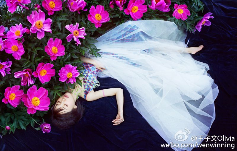 王子文 高清写真/照片下载 #7029225
